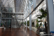 Premières greffes rénales réalisées en Polynésie dès octobre