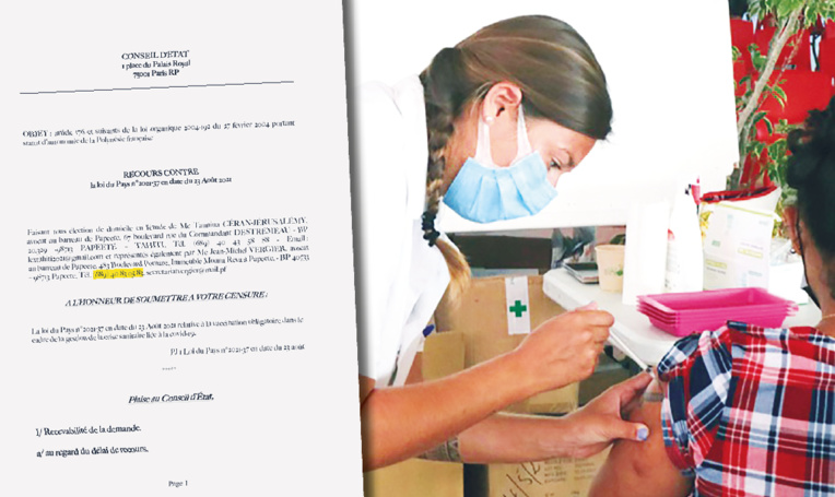 Les détails du recours contre la loi du Pays sur l'obligation vaccinale Les détails du recours contre la loi du Pays sur l'obligation vaccinale