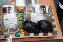 Saisie record d'ice : Nouvelles méthodes et gros résultats Saisie record d'ice : Nouvelles méthodes et gros résultats