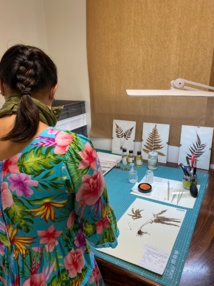 Visite guidée virtuelle de l'herbier. Visite guidée virtuelle de l'herbier.