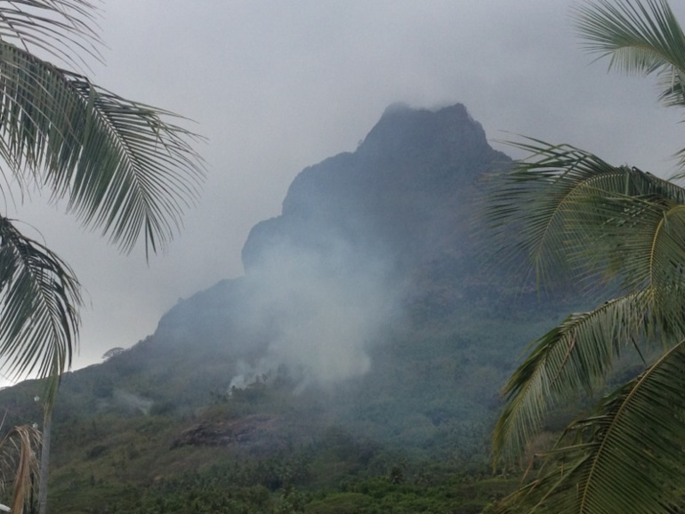 crédit photo A. YAO CHAN CHEONG