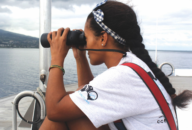 Une cagnotte pour protéger les baleines Une cagnotte pour protéger les baleines
