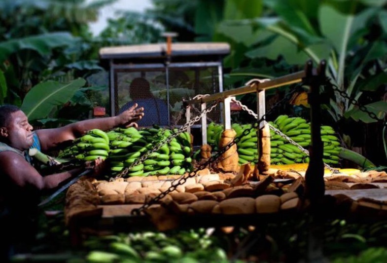 ©Marc le Chélard ©Marc le Chélard