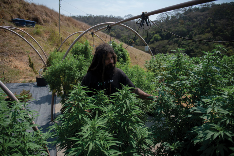 MAURO PIMENTEL / AFP MAURO PIMENTEL / AFP