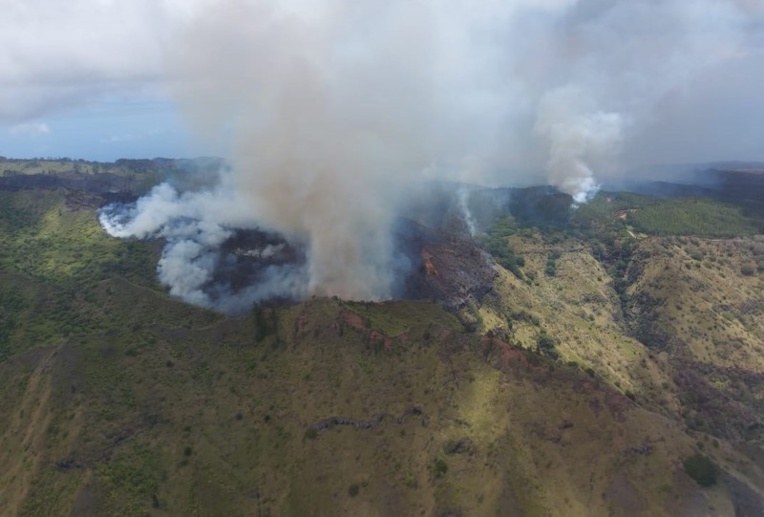 La zone incendiée abrite des espèces végétales endémiques des Marquises, de nombreux santals et des habitats de Upe, un oiseau endémique de Nuku Hiva. La zone incendiée abrite des espèces végétales endémiques des Marquises, de nombreux santals et des habitats de Upe, un oiseau endémique de Nuku Hiva.