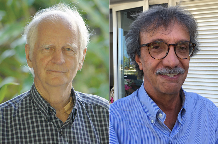 Géopolitique du Pacifique : "La France a encore des cartes à jouer" Géopolitique du Pacifique : "La France a encore des cartes à jouer"