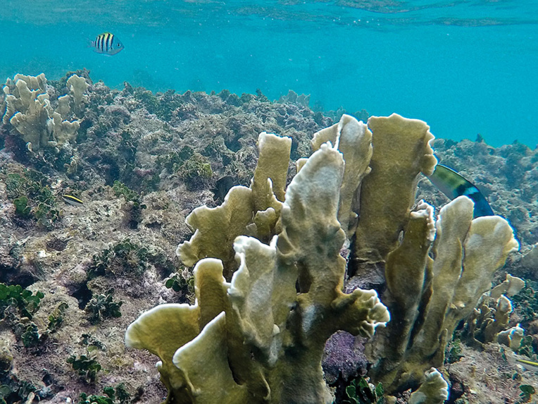 Luis ACOSTA / AFP Luis ACOSTA / AFP