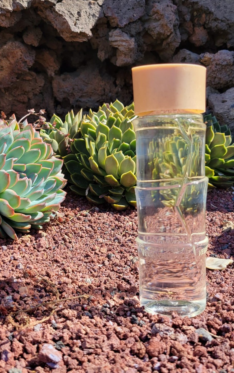 La gourde "VeganBottle GO" imaginée par l'entreprise est recyclable. La gourde "VeganBottle GO" imaginée par l'entreprise est recyclable.