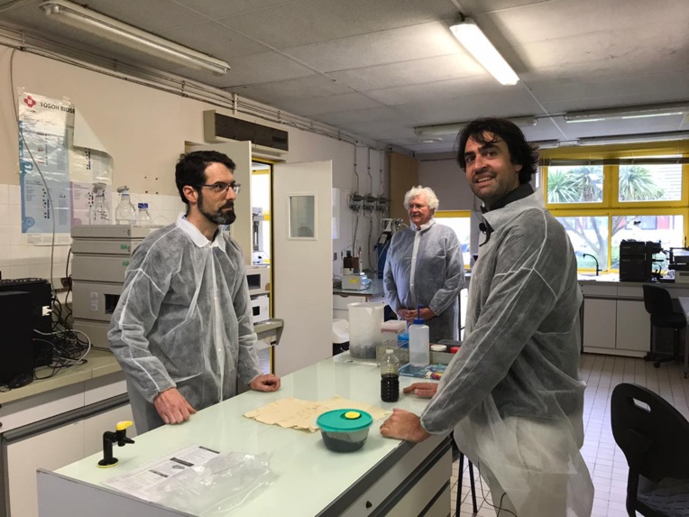 Le partenariat avec le centre d'étude et de valorisation des algues a été fondamental dans le développement de Sargasse Project. Le partenariat avec le centre d'étude et de valorisation des algues a été fondamental dans le développement de Sargasse Project.