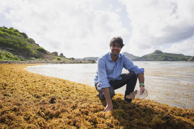 Juriste de formation, Pierre-Antoine Guibout s'est lancé dans l'aventure Sargasse Project sans aucun bagage scientifique. © Frederic Tetard Juriste de formation, Pierre-Antoine Guibout s'est lancé dans l'aventure Sargasse Project sans aucun bagage scientifique. © Frederic Tetard