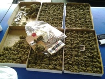 Paka family connection : des peines de deux ans de prison avec sursis prononcées