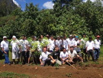 Journées de l’environnement : des adolescents de Moorea  sensibilisés aux métiers de la terre.