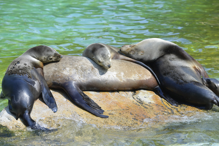 Tobias SCHWARZ / AFP Tobias SCHWARZ / AFP