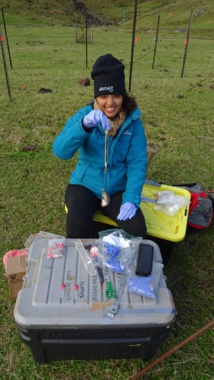 Des drones contre les rats aux Marquises Des drones contre les rats aux Marquises