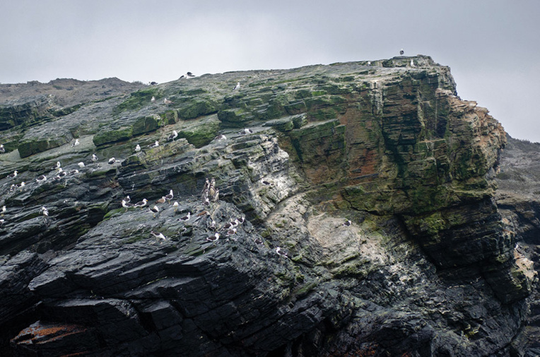 Alberto PEÑA / AFP Alberto PEÑA / AFP