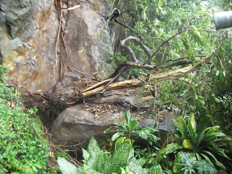Papara: Une chute de pierre qui aurait pu avoir des conséquences fâcheuses