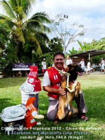 3ème édition du Championnat de Polynésie de chien d’utilité