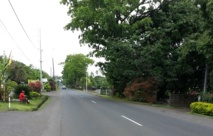 La ligne droite de Papara, la roulette russe pour les enfants qui traversent cette route chaque jour en sortant du bus scolaire.