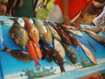 Pêche sous-marine : Montagnon et Nehemia dominent le Championnat de Polynésie