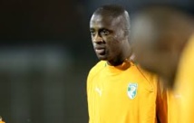 Le footballeur Yaya Touré s'engage pour la survie des éléphants