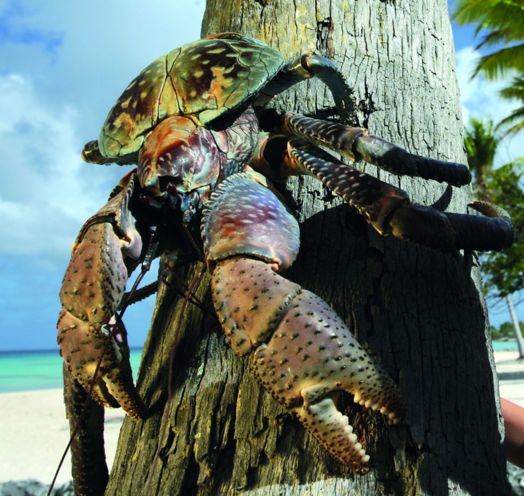 Pêche et kaveu encadrés, burgaux libérés Pêche et kaveu encadrés, burgaux libérés