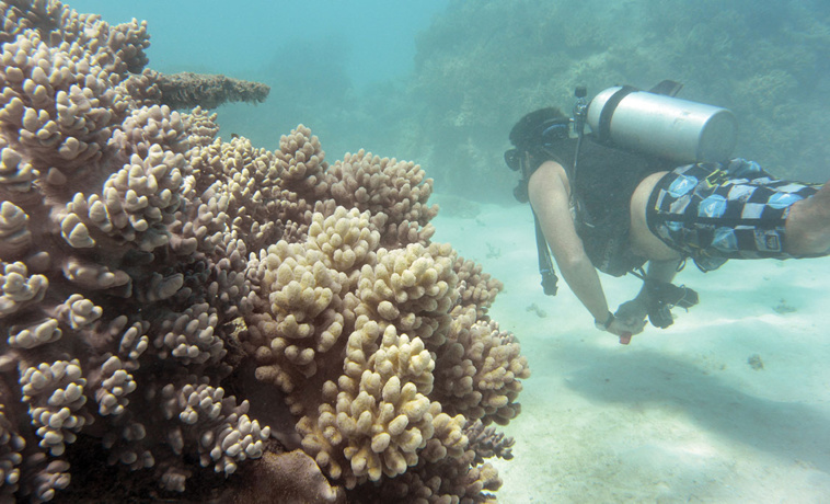 William WEST / AFP William WEST / AFP