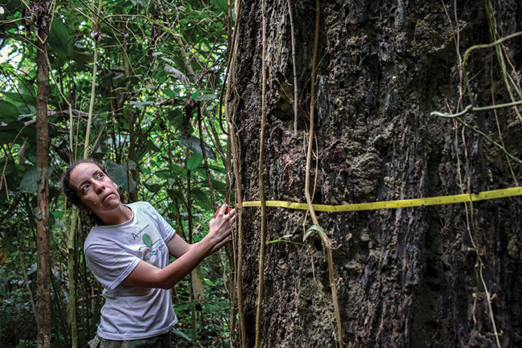 Marizilda Cruppe / Rede Amazonia Sustentavel / AFP