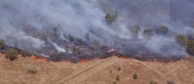 Nouvelle-Calédonie: plus de 2.000 hectares de savane brûlés en deux mois Nouvelle-Calédonie: plus de 2.000 hectares de savane brûlés en deux mois