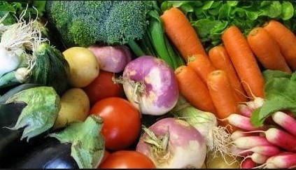 Partenariat SEFI-Commune de Punaauia et CUCS : formation des agriculteurs de demain