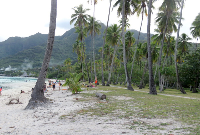 La modification du PGEM de Moorea attaquée La modification du PGEM de Moorea attaquée