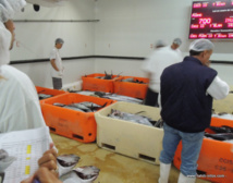 Encore une subvention exceptionnelle pour la SEM port de pêche