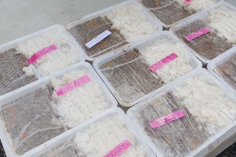 Chaque repas était accompagné d'un verset biblique pour soutenir les familles. Chaque repas était accompagné d'un verset biblique pour soutenir les familles.