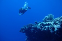 Fête de la Science : l’eau dans tous ses états Fête de la Science : l’eau dans tous ses états