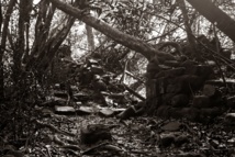 Fautaua : le cadavre est celui d’un jeune Japonais Fautaua : le cadavre est celui d’un jeune Japonais