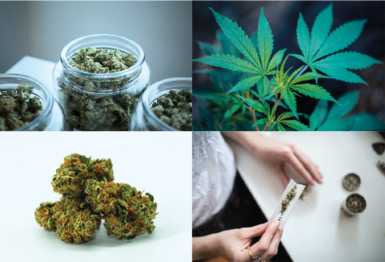 L’enquête qui légitime le paka L’enquête qui légitime le paka