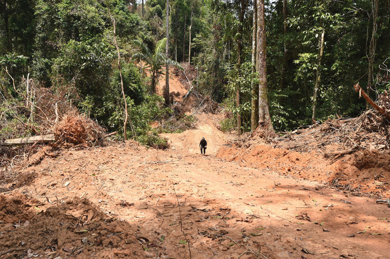 EVARISTO SA / AFP EVARISTO SA / AFP