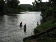 Nouvelle attaque de crocodile aux iles Salomon Nouvelle attaque de crocodile aux iles Salomon