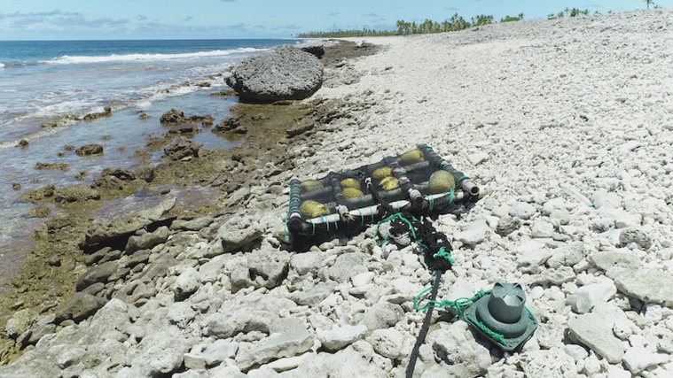 Les DCP dérivants dans l'œil de la DRM à Hao et Amanu Les DCP dérivants dans l'œil de la DRM à Hao et Amanu