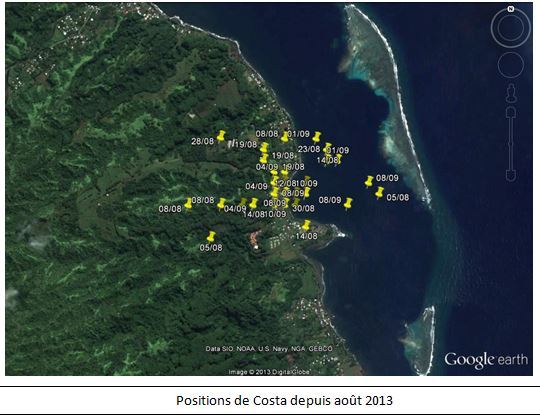 Appel à témoin: on recherche une tortue verte dans la zone de Mahaena à Hitia