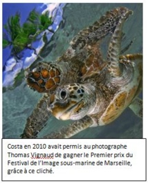Appel à témoin: on recherche une tortue verte dans la zone de Mahaena à Hitia Appel à témoin: on recherche une tortue verte dans la zone de Mahaena à Hitia
