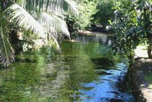 Faa'a: Par jalousie, elle prétend avoir trouvé le cadavre d'une jeune femme dans un ruisseau Faa'a: Par jalousie, elle prétend avoir trouvé le cadavre d'une jeune femme dans un ruisseau