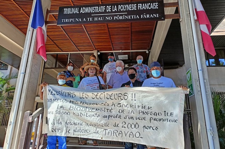 Le projet de porcherie à Taiarapu-Est passé à la moulinette Le projet de porcherie à Taiarapu-Est passé à la moulinette