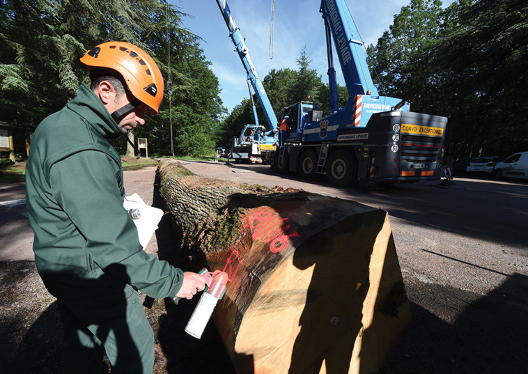 JEAN-FRANCOIS MONIER / AFP JEAN-FRANCOIS MONIER / AFP
