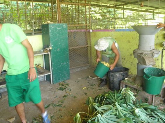 CED de Taiohae : « L’agriculture durable pour tous »