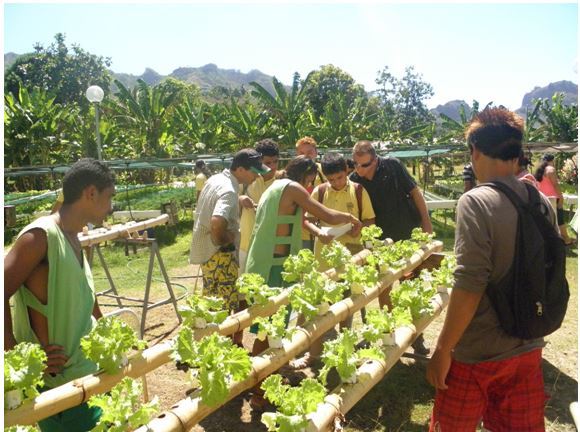 CED de Taiohae : « L’agriculture durable pour tous »