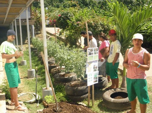 CED de Taiohae : « L’agriculture durable pour tous »