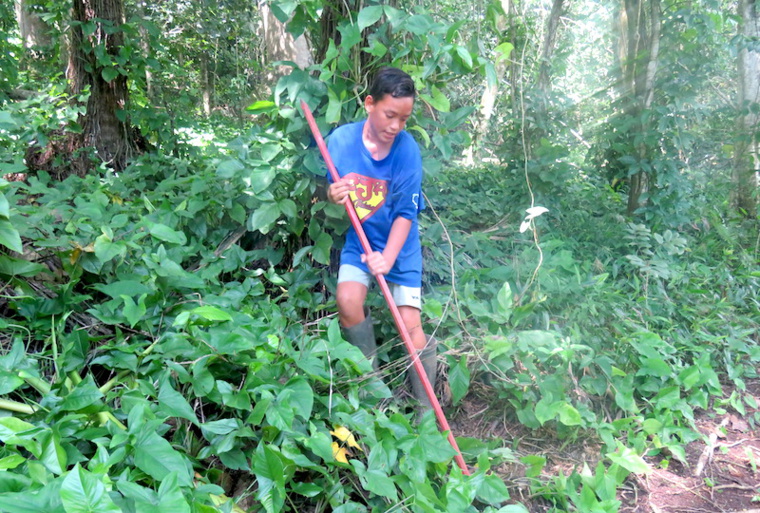 Graines d'agriculteurs au CJA de Moorea Graines d'agriculteurs au CJA de Moorea