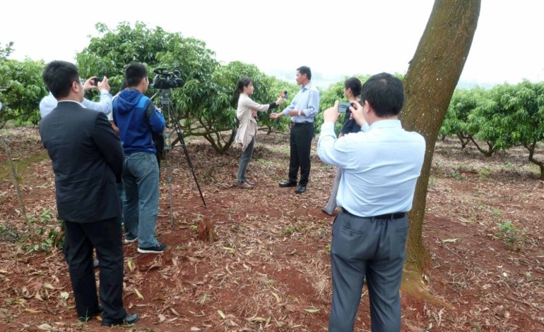Visite d'une plantation de Litchis Visite d'une plantation de Litchis