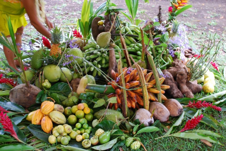 Levée des pléiades : le temps de l’abondance