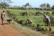 Le RSMA ambitionne de former plus de 500 jeunes par an Le RSMA ambitionne de former plus de 500 jeunes par an